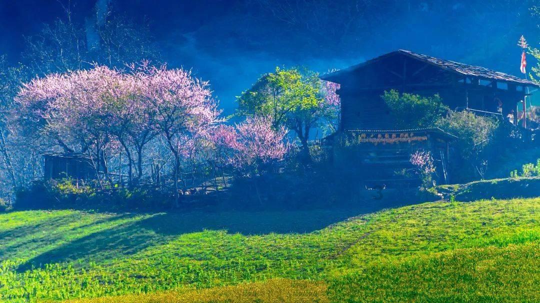五菱荣光车走水了起车冒蓝烟